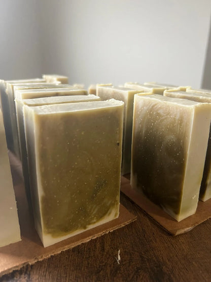 Aloe Vera Hydrating Shampoo Bar